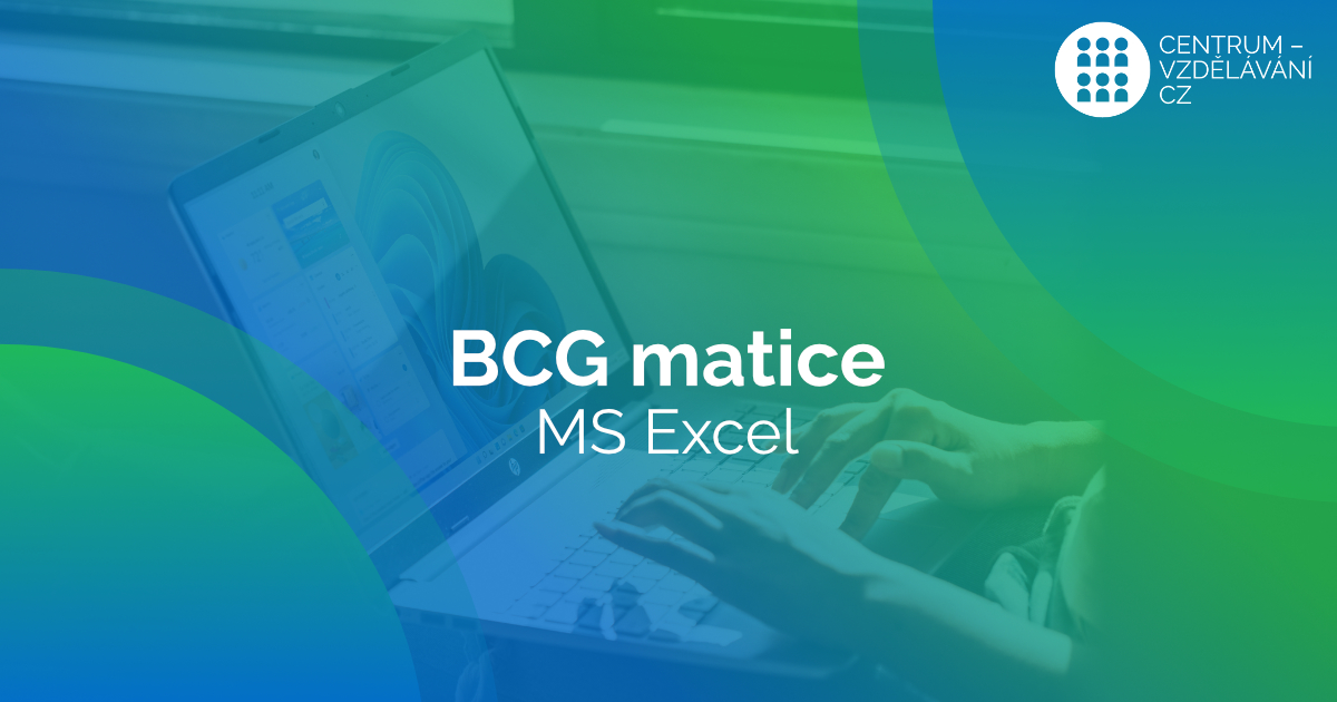 Tvorba BCG grafů v MS Excel